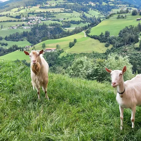Ferien Am Samerhof * Matreiwald
